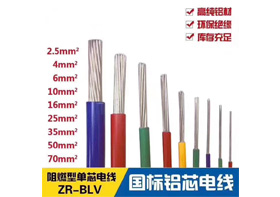 BLV 型號：2.5mm²²～300mm²²
